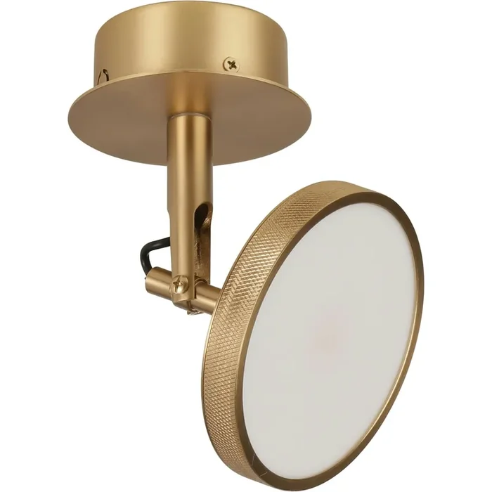 Asteria Spot Rampenlicht, Beschichtet Messing Im Trend