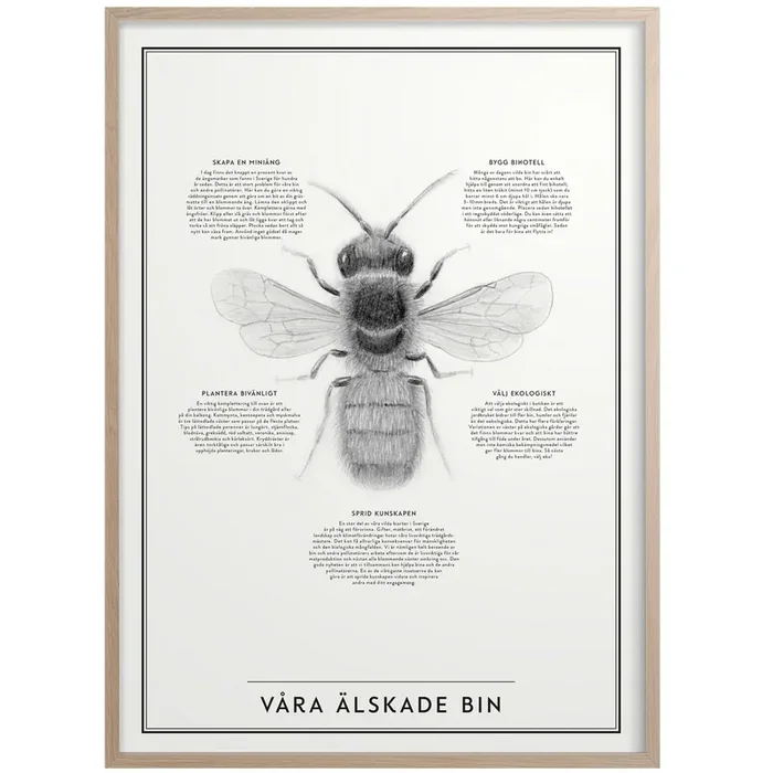 Handgefertigt Våra Älskade Bin Poster 50×70 cm
