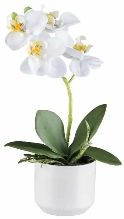 Kunstblume Phalaenopsis Weiß Mengenrabatt